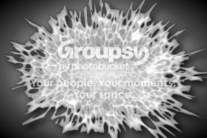 WebPhoto01-1.jpg image by Consis